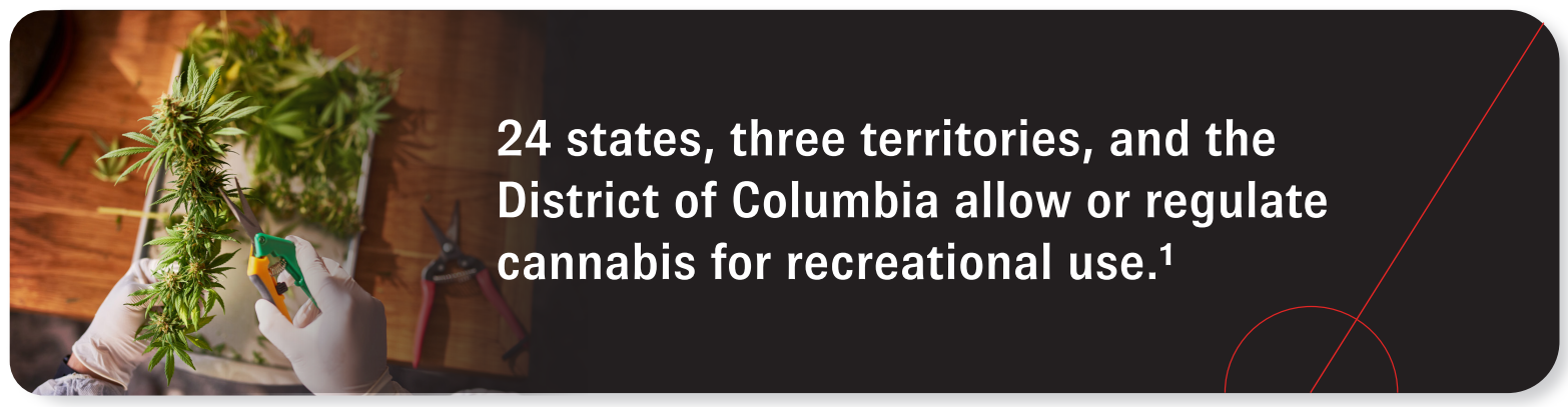 24 states, three territories, and the District of Columbia allow or regulate cannabis for recreational use. Source 1.
