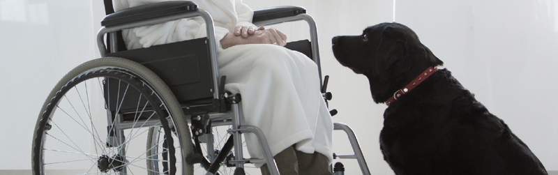 Making Sense of Taxability in Long-Term Disability Plans Header Image